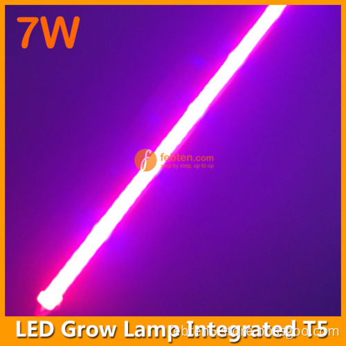 2ft 7W LED grow light in red blue lighting
